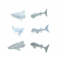 Requin set d'aimants Kikkerland