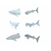 Requin set d'aimants shark butts
