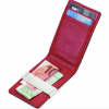 Credit card case BLACK & SILVER TROIKA