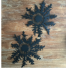 Chardon THISTLE décoration murale