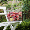 KORBO Basket