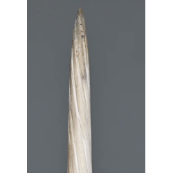 Pointe du Trophée de Licorne