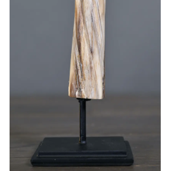 Base / socle du Trophée de Licorne