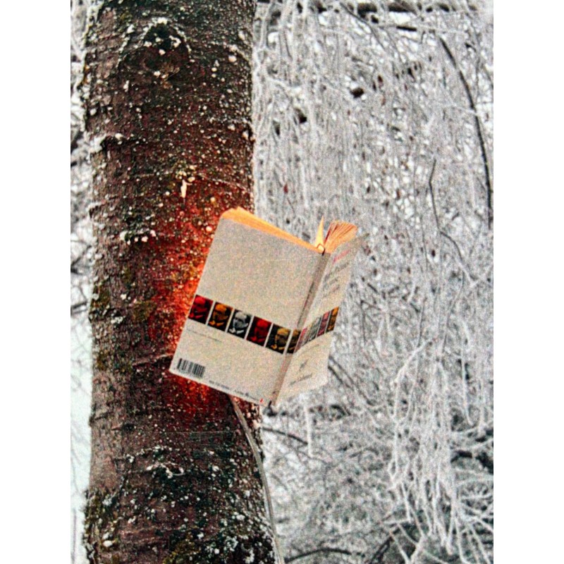 LIVRESSE, applique murale pour votre livre de poche préféré