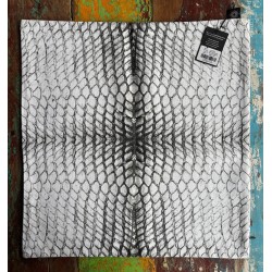 Housse de coussin set/2