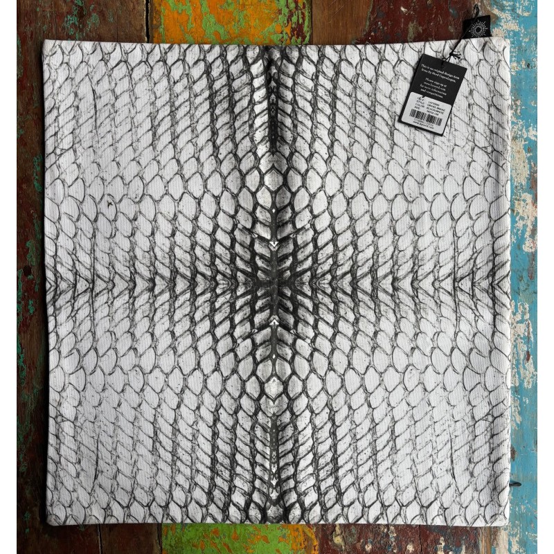 Housse de coussin set/2