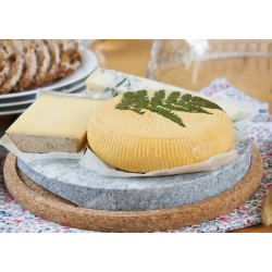 Varm o Kall-Stein Untersatz von Täljsten