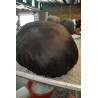Large Rock Cushions / poufs galets - large