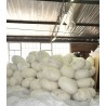 Large Rock Cushions / poufs galets - large